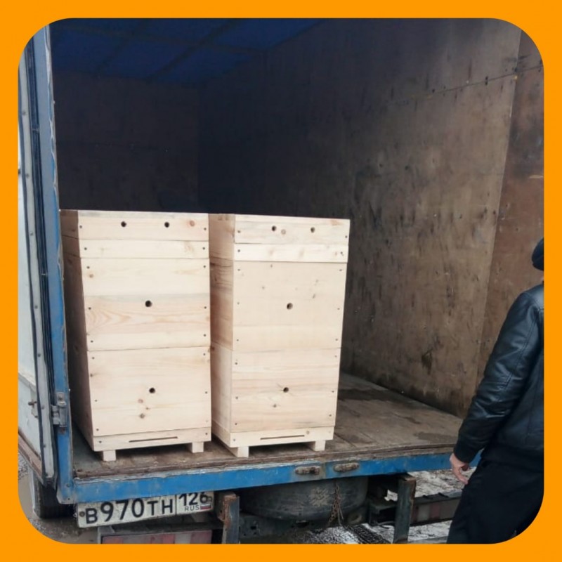 Фото 12. Улей для пчел на рамку Дадана-Блатта в двухкорпусной комплектации