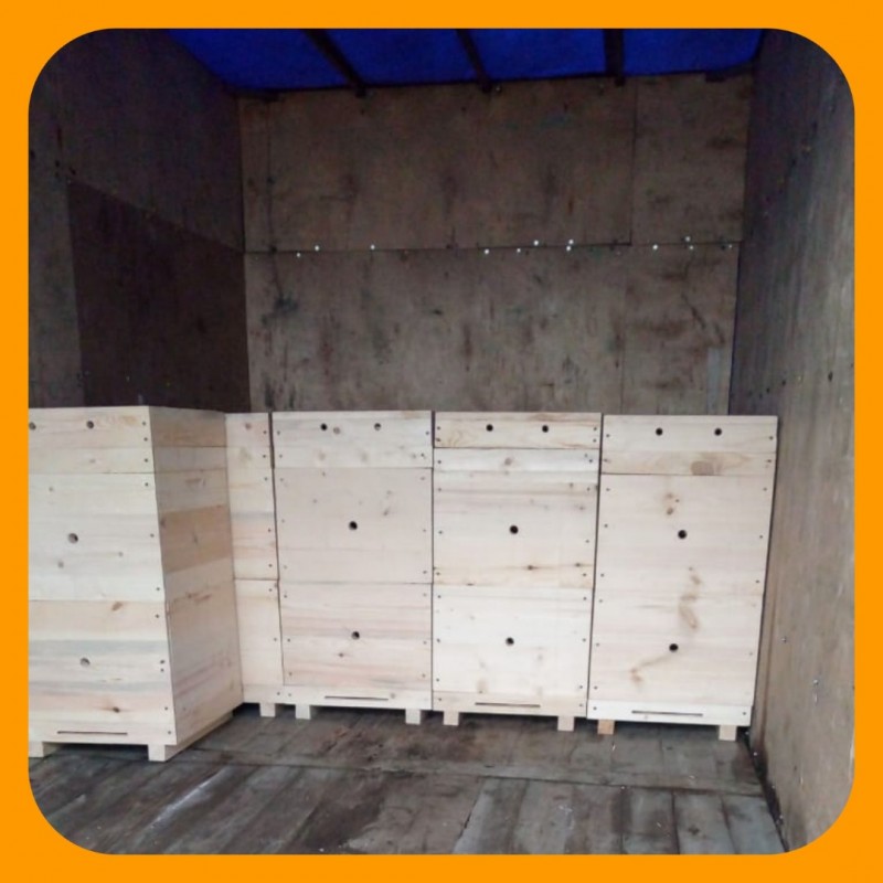 Фото 5. Улей для пчел на рамку Дадана-Блатта в двухкорпусной комплектации