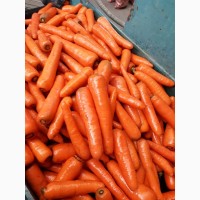 Все овощи из Кыргызстана