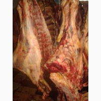 Мясо на кости (говядина)