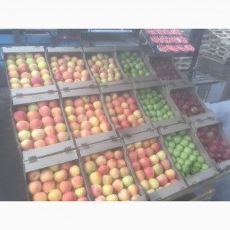 Продам яблоки сортов Гала, голден, рэд делишон из Казахстана