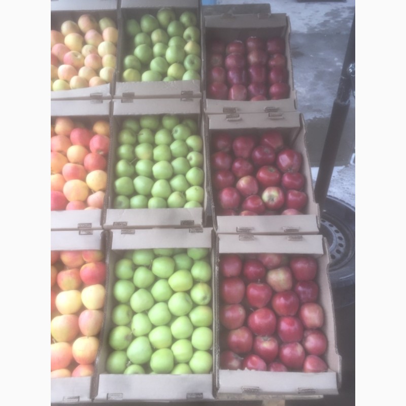 Фото 2. Продам яблоки сортов Гала, голден, рэд делишон из Казахстана