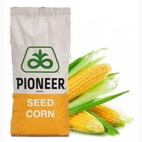 Семена гибридов кукурузы Pioneer/Пионер