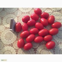 Продам томаты разных сортов