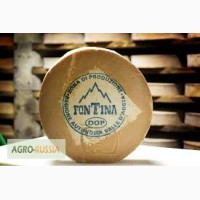 Итальянский сыр Fontina
