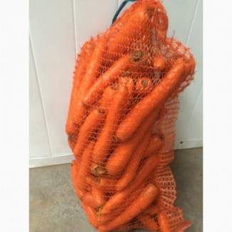 Морковь свежая урожай 2017. Мытая