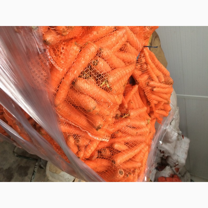 Фото 2. Морковь свежая урожай 2017. Мытая