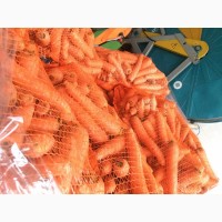 Морковь свежая урожай 2017. Мытая