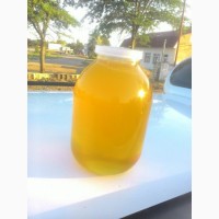 Мёд Крымский от пчеловода