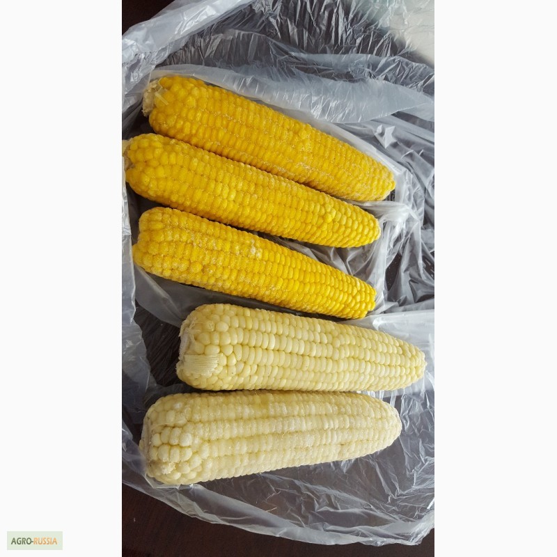 Фото 10. Сладкая кукуруза, быстро-замороженная, сахарная, в початках