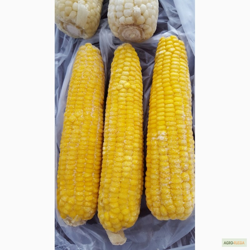 Фото 8. Сладкая кукуруза, быстро-замороженная, сахарная, в початках