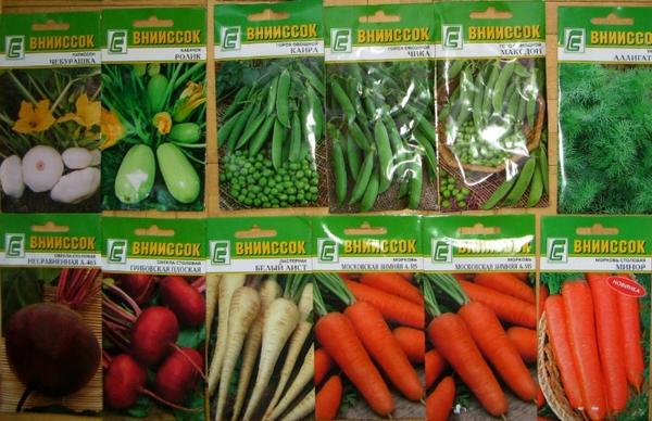 Фото 4. Продам семена овощных культур в ассортименте