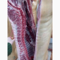 Продам мясо свинины, говядины -объем, качество, доставка