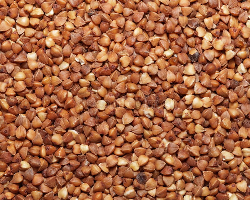 Фото 5. Семена гречки Канадский трансгенный сорт гречихи FLORIDA