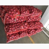 Продам лук репчатый урожай 2021 года ОПТ