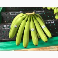 Бананы из Эквадора (Asisbane, Flavia)